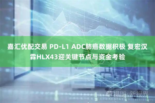 嘉汇优配交易 PD-L1 ADC肺癌数据积极 复宏汉霖HLX43迎关键节点与资金考验
