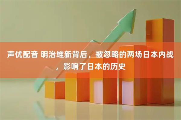 声优配音 明治维新背后，被忽略的两场日本内战，影响了日本的历史